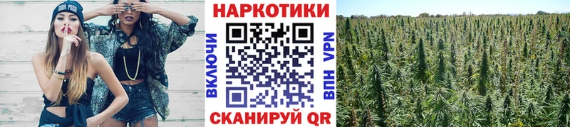 Сколько стоит Печора Псилоцибиновые грибы  APVP  ГАШИШ  Конопля  Мефедрон  Кокаин  Амфетамин 