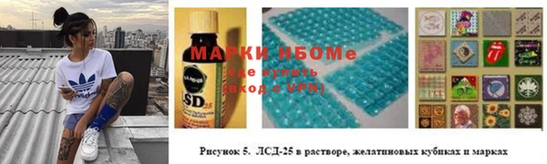 мяу мяу мука Белокуриха