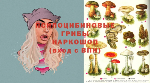 мяу мяу мука Белокуриха