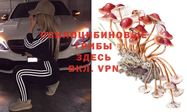 экстази Пролетарск