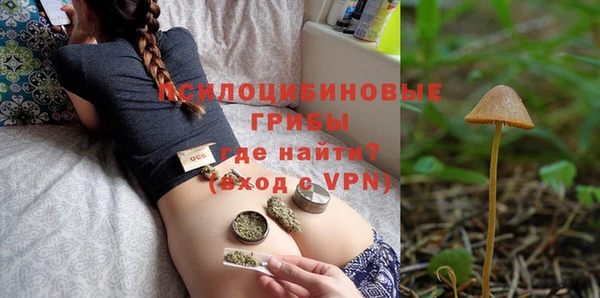 мяу мяу мука Белокуриха