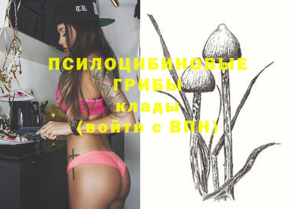 дмт Белоозёрский