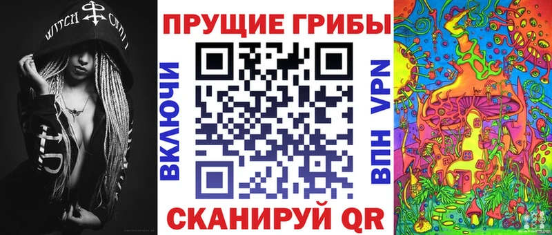 Галлюциногенные грибы Psilocybe  Печора 